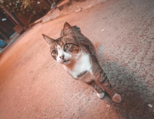 Riad Three Brothers Marakeş Dış mekan fotoğraf